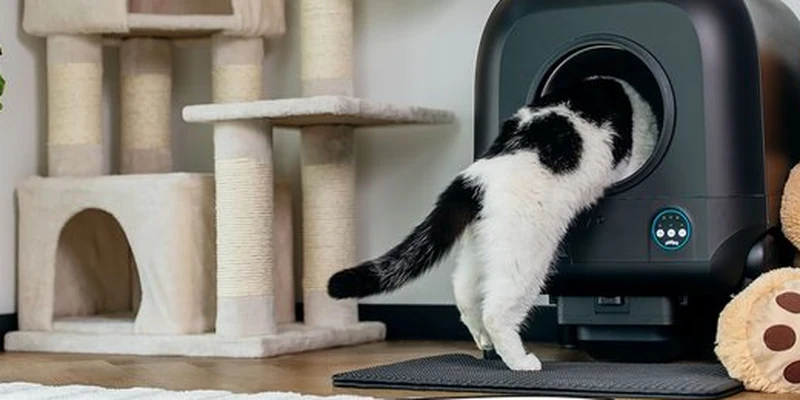 Kat stapt in een zwarte Poopy automatische kattenbak in de huiskamer