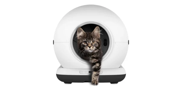 Witte Zedar automatische kattenbak waar een kitten uit de ronde opening stapt